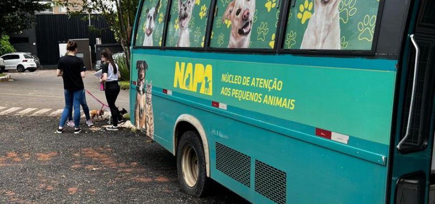 Saúde e NAPA farão segunda etapa da vacinação da Raiva