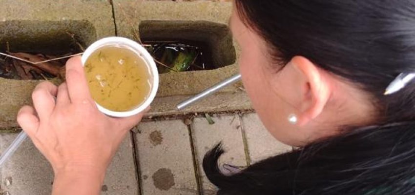 Secretaria de Sa&uacute;de divulga dados do LIRAa 2024