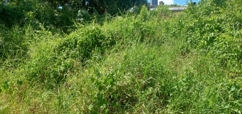 Prefeitura publica lista de propriet&aacute;rios de terreno baldio que ser&atilde;o multados 