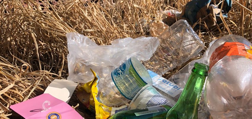 Dia Nacional de Mobilização e combate à dengue em Chapecó