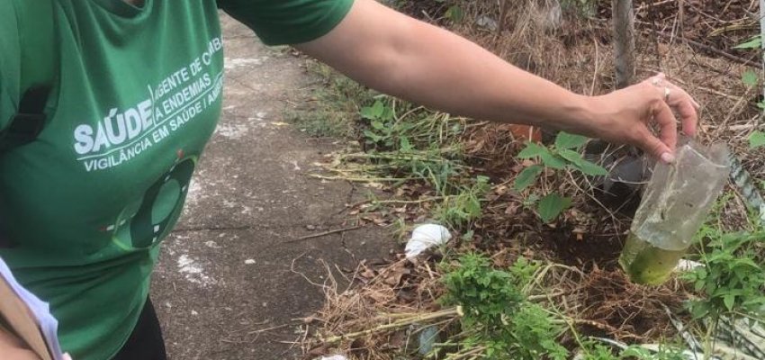Mutirão contra a Dengue elimina trezentos criadouros de mosquito