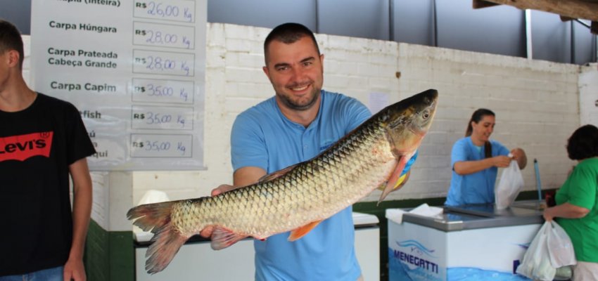 Feira do Peixe terá 18 pontos de comercialização em Chapecó