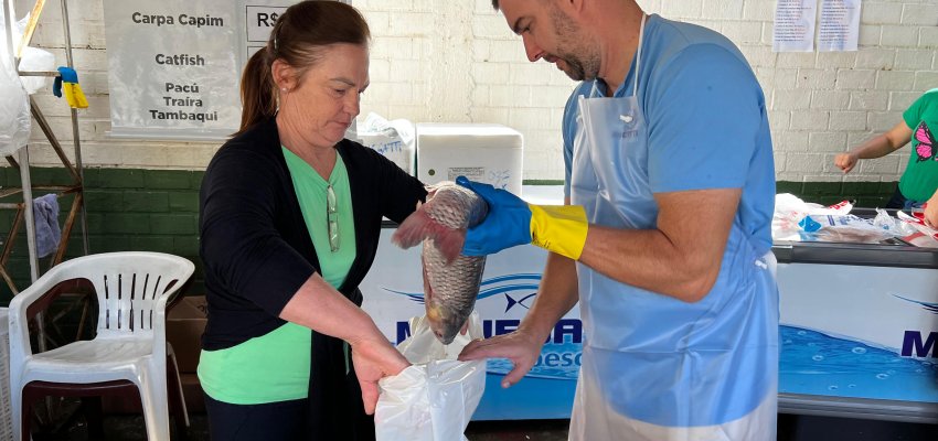 Inicia a tradicional Feira do Peixe em Chapecó