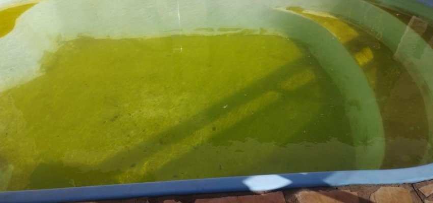 Mutirão contra a Dengue realizou 829 visitas no bairro Cristo Rei