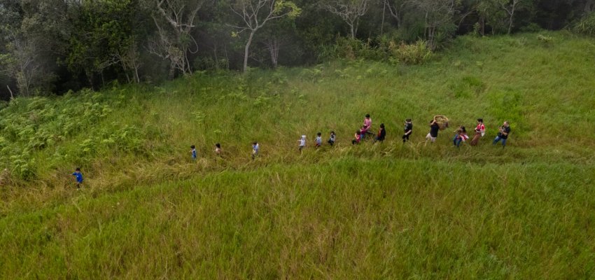 Crianças do CEIM SÂPE TY KÓ SI realizam coleta de macela