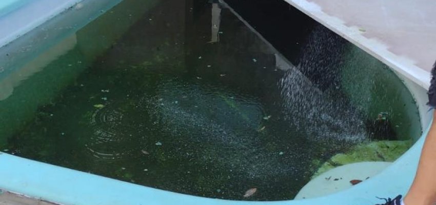 Vigil&acirc;ncia em Sa&uacute;de realizou pr&oacute;ximo de cinco mil visitas de combate &agrave; dengue somente em junho