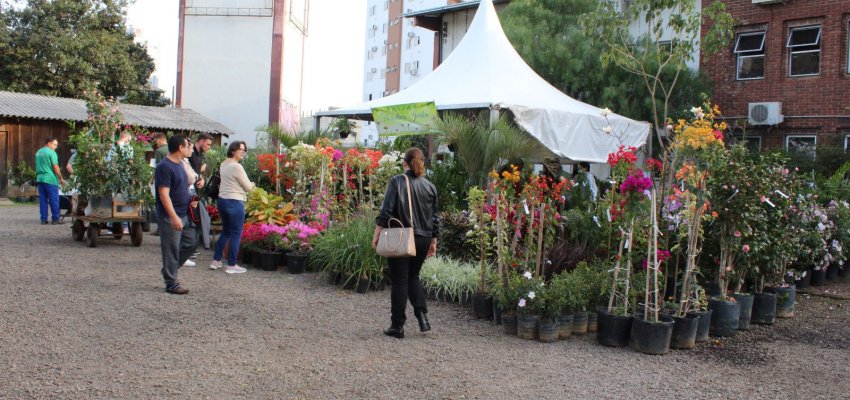 Secretaria de Desenvolvimento Rural promoverá Feira de Mudas na próxima semana