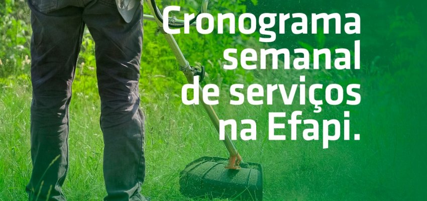 SUPERINTEND&Ecirc;NCIA DA EFAPI DIVULGA CRONOGRAMA DE ATIVIDADES
