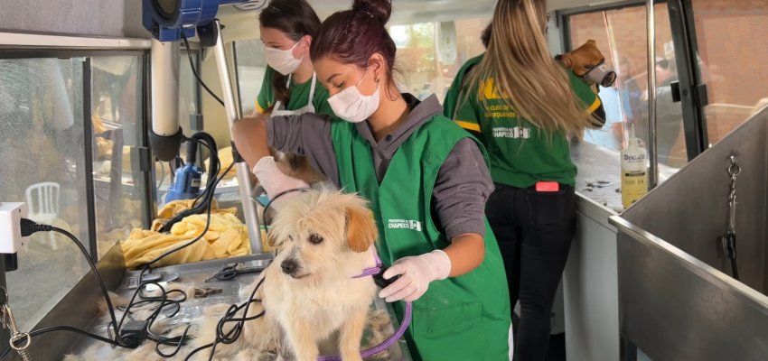 NAPA far&aacute; a&ccedil;&atilde;o na Pra&ccedil;a da Fam&iacute;lia