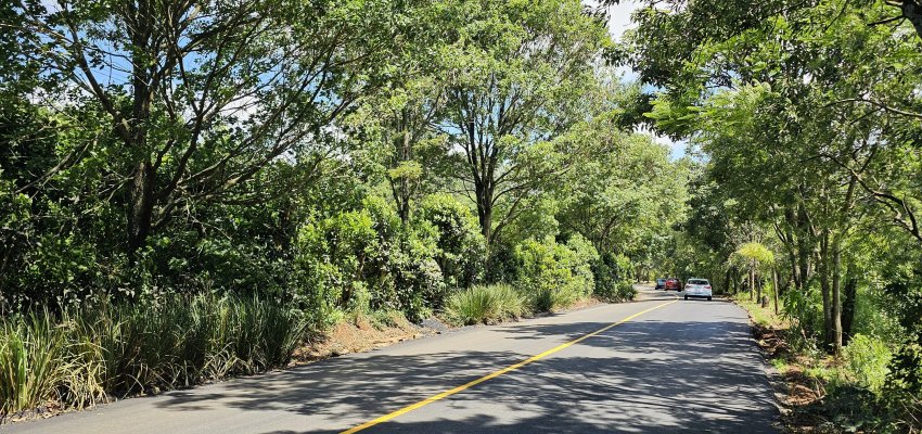 Inaugurado acesso asf&aacute;ltico da Col&ocirc;nia Bacia