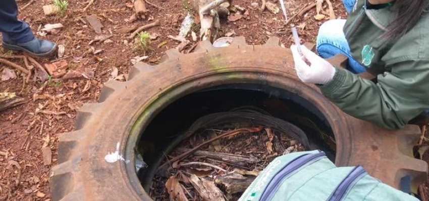 Sábado é o Dia D de Combate à Dengue