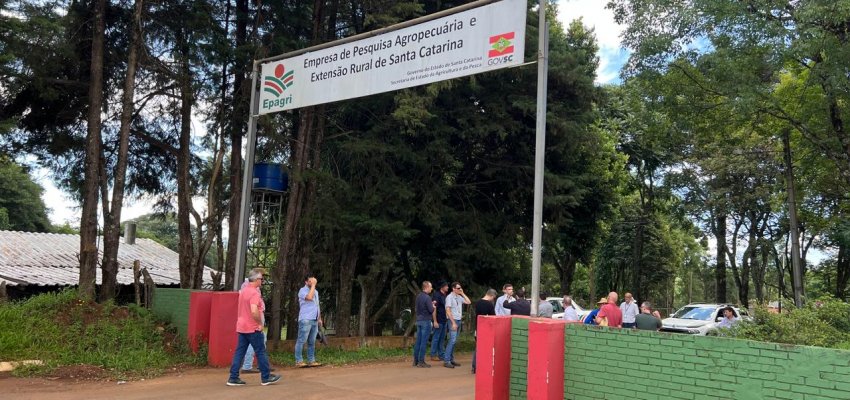 Realizada inspeção judicial para avaliar abertura de vias na área da Epagri