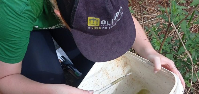 S&aacute;bado tem mutir&atilde;o de combate &agrave; Dengue no Belvedere e Vila Rica