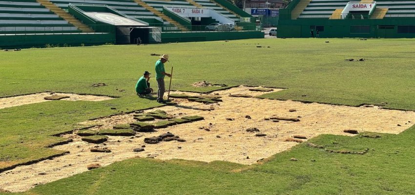 Inicia a retirada do gramado da Arena Cond&aacute; para troca por sint&eacute;tico