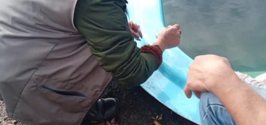 No s&aacute;bado ter&aacute; mutir&atilde;o contra a Dengue em Chapec&oacute;