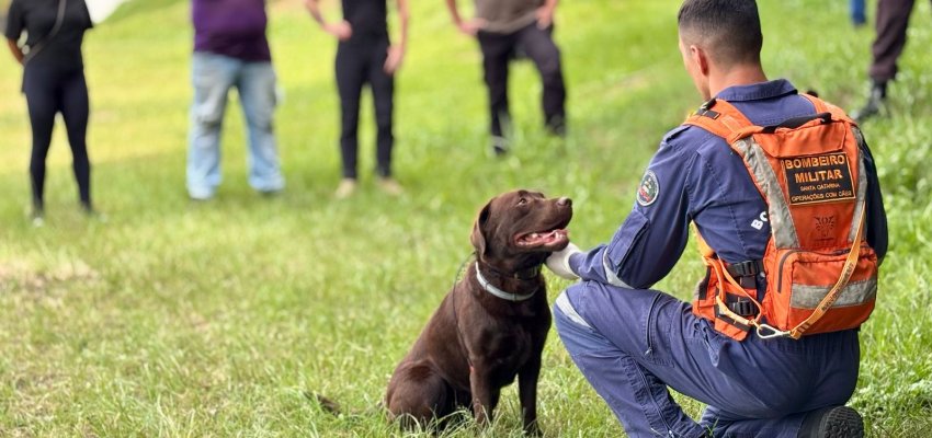 Prefeitura e Unochapecó promovem curso inédito no país em Cinotecnia Policial