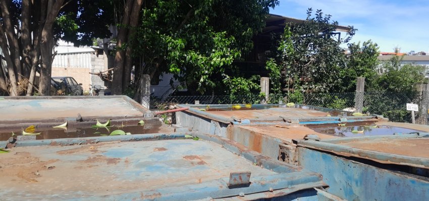 Mais de mil visitas realizadas no mutir&atilde;o contra a Dengue no bairro L&iacute;der