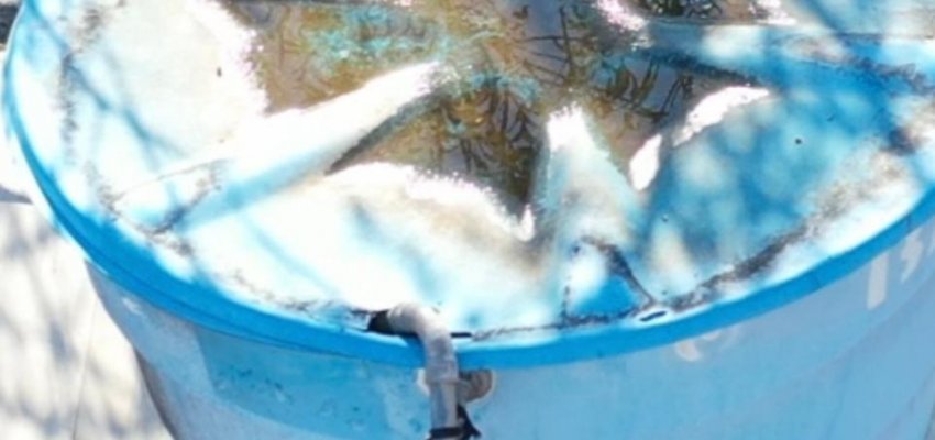 Secretaria de Sa&uacute;de de Chapec&oacute; usa drone no combate &agrave; Dengue