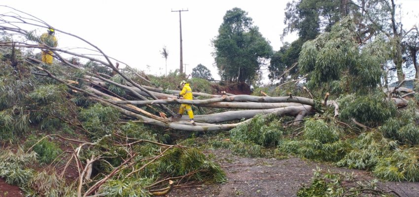 Prefeitura de Chapecó e Defesa Civil trabalham para recuperar estragos causados por temporal