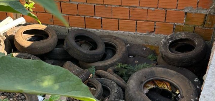 Mutir&atilde;o contra a Dengue teve 2,2 mil visitas no bairro S&atilde;o Crist&oacute;v&atilde;o