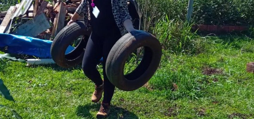 S&aacute;bado tem mutir&atilde;o contra a Dengue no bairro Efapi