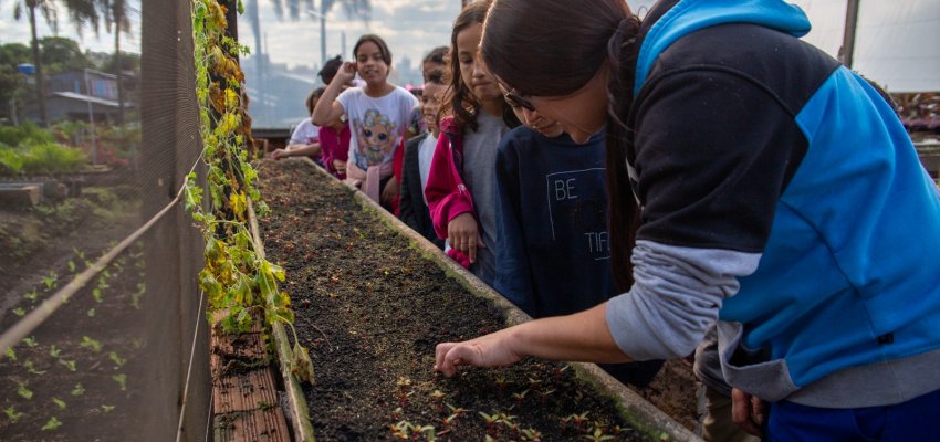 Estudantes da EBM Clara Urmann realizam visita t&eacute;cnica ao Horto Municipal