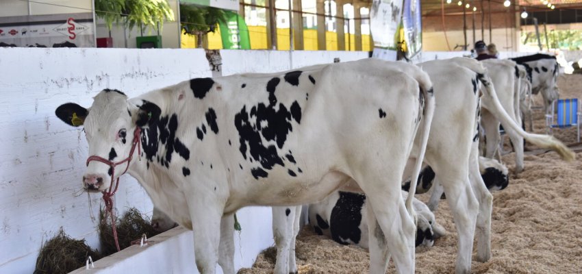 Efapi do Brasil tem somente alguns espa&ccedil;os no setor agropecu&aacute;rio