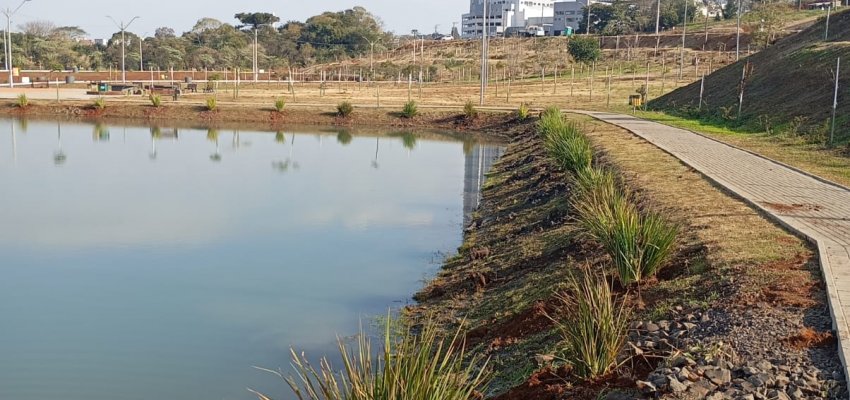 Prefeitura realiza plantio de 120 mudas de &aacute;rvores nativa no Parque Edir de Marco