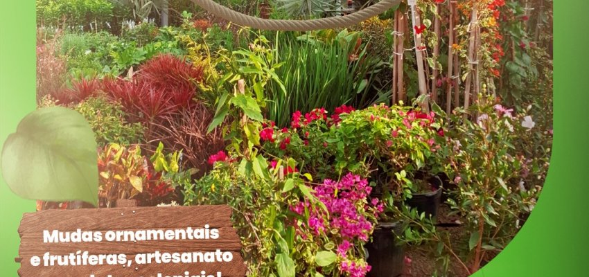 Prefeitura de Chapecó promove feira de mudas ornamentais e frutíferas