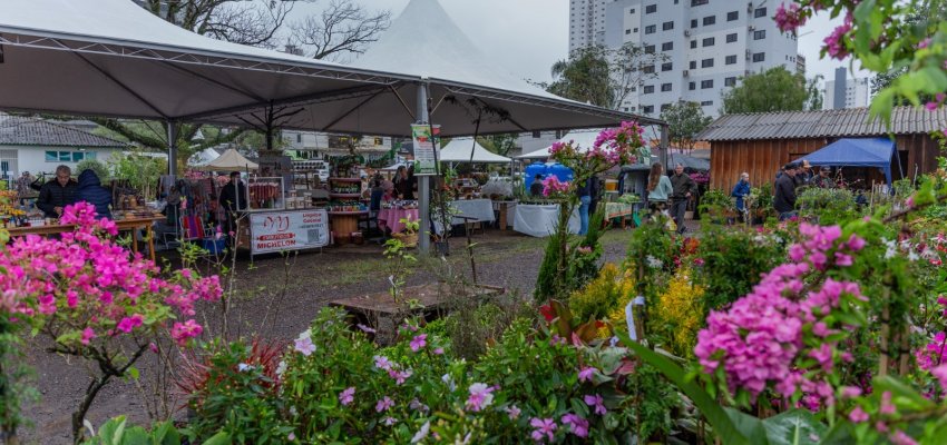 Feira de Mudas acontece até domingo em Chapecó 