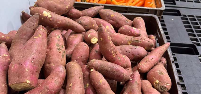 Banco de Alimentos fortalece agricultura e garante qualidade para serviços e entidades beneficiadas