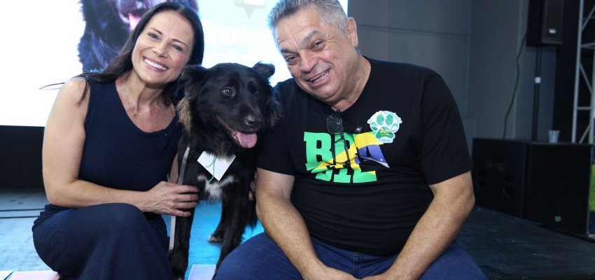 NAPA lança oficialmente no Instagram o mascote Arroio na Efapi do Brasil