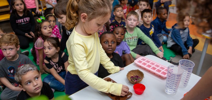 CEIM Juliana Sive desenvolve projeto de empreendedorismo com a produção de sabonetes artesanais