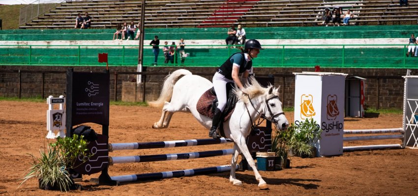 Efapi do Brasil: Orgulho e paixão pelo hipismo estiveram presente nas competições