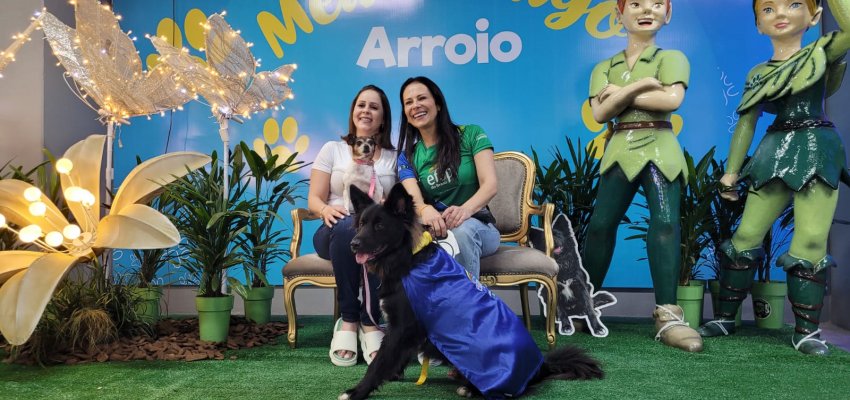 Efapi do Brasil é pet friendly e garante espaço acolhedor também para os animais de estimação