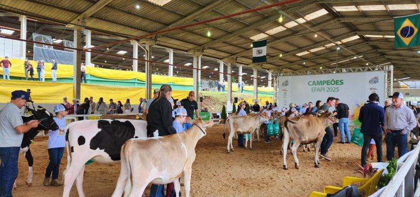 Efapi do Brasil traz pela primeira vez Clube da Bezerra à feira