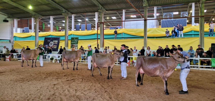 Qualidade genética marca julgamento do gado adulto das raças Holandesa e Jersey na Efapi do Brasil