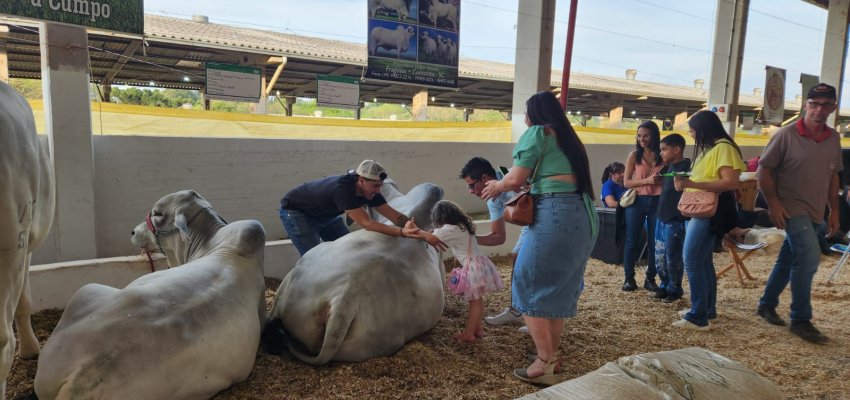 Efapi do Brasil: avaliação do Agronegócio confirma saldo positivo e alto nível técnico