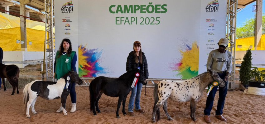 Mini-Horse estreia com julgamento inédito na Efapi do Brasil 2025