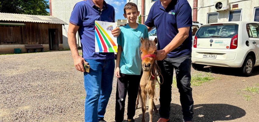 Entregue mini-horse para vencedor de sorteio da Efapi do Brasil