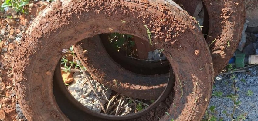 Mais de sete mil visitas realizadas no Dia D de combate à dengue em Chapecó