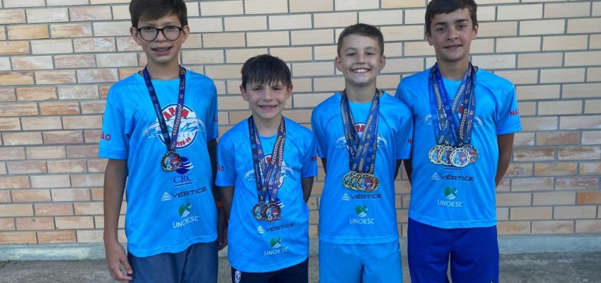 APAN Chapecó brilha no 4° Festival Mirim e Petiz