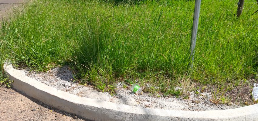 Prefeitura de Chapec&oacute; alerta para limpeza de terrenos baldios e manuten&ccedil;&atilde;o das cal&ccedil;adas