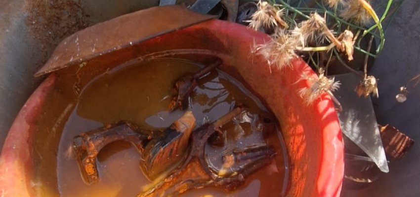 S&aacute;bado tem mutir&atilde;o contra a Dengue em Chapec&oacute;