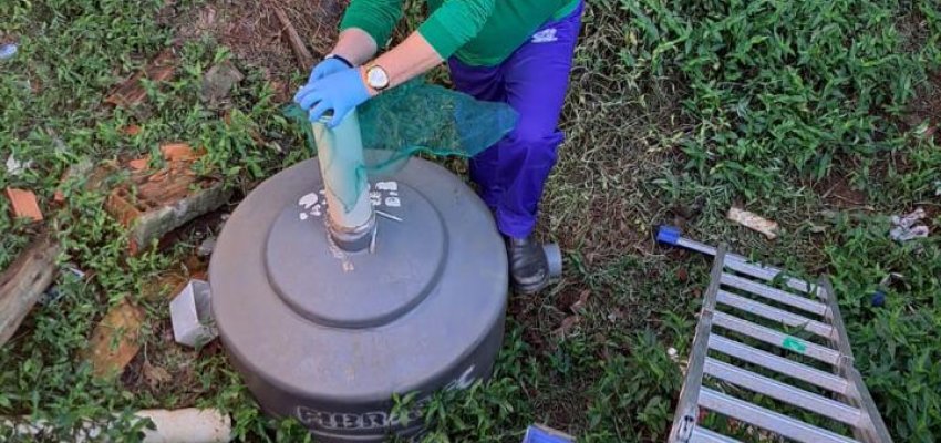 Chapec&oacute; reduz &iacute;ndice de infesta&ccedil;&atilde;o do Aedes aegypti