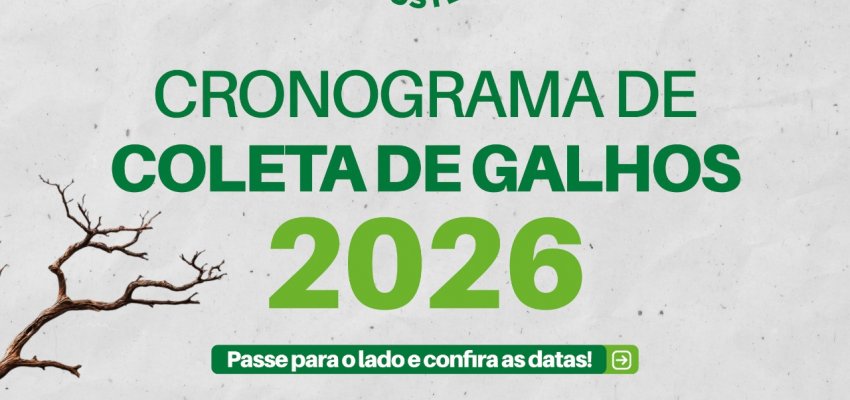 Prefeitura divulga cronograma de coleta de galhos