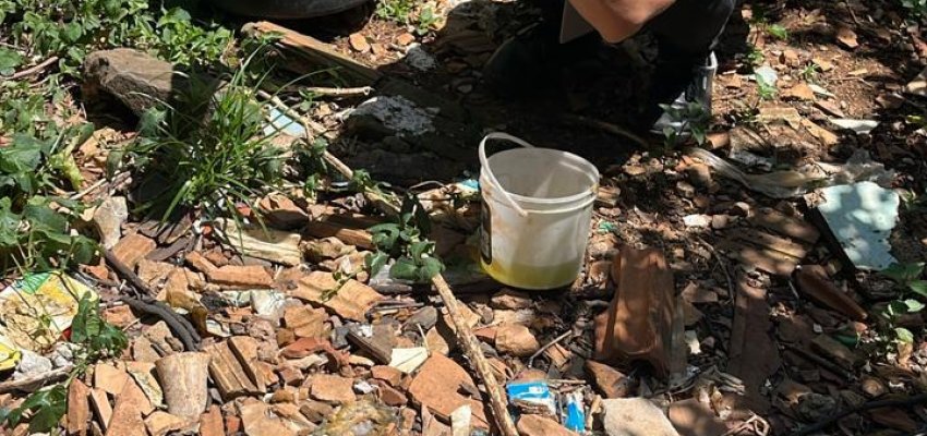 For&ccedil;a-Tarefa e Tecnologia em Chapec&oacute;: Mutir&atilde;o Mobiliza Agentes e Acad&ecirc;micos no Combate &agrave; Dengue