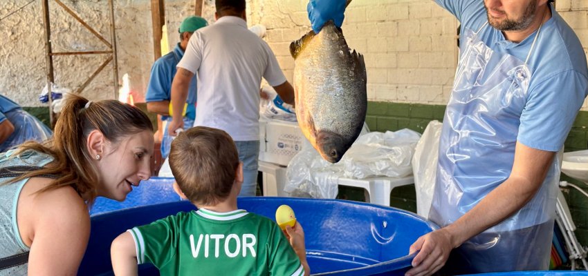 Feira do peixe segue at&eacute; sexta em 12 pontos