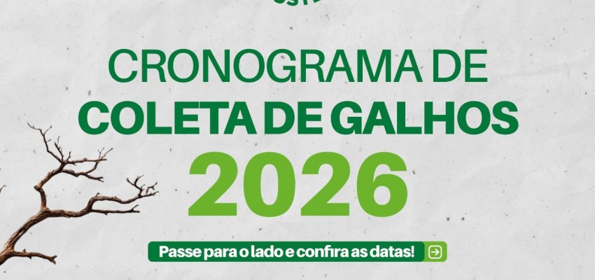 Prefeitura de Chapec&oacute; orienta sobre in&iacute;cio do cronograma de coleta de galhos