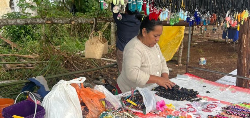 Semana Cultural Ind&iacute;gena tem ampla programa&ccedil;&atilde;o em Chapec&oacute;